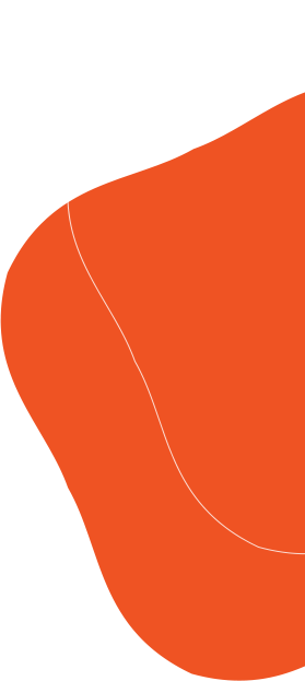 Our Company 18 shape 1